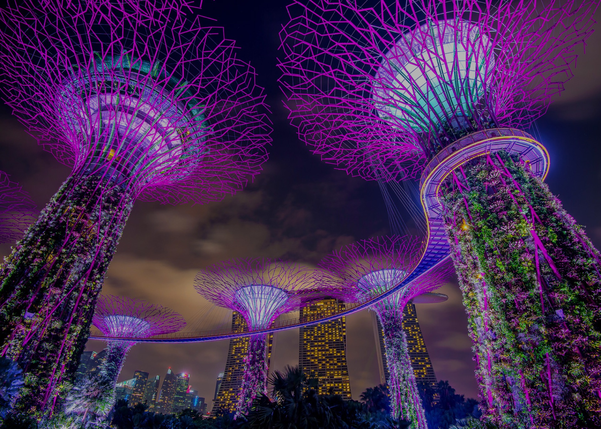 Travel Worry Free with velome on every trip.